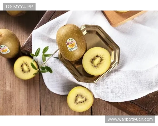 奇异果体育国际登录常见问题及客服支持渠道，快速解决用户使用中的疑问